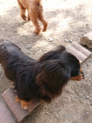 f:id:roukenhome-ann:20190519133221j:plain