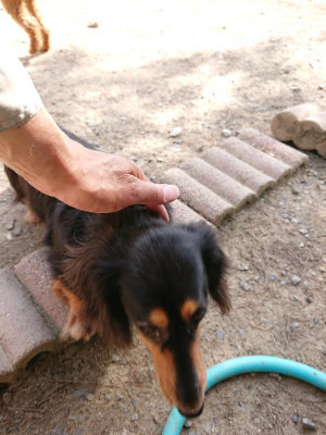 f:id:roukenhome-ann:20190519133236j:plain