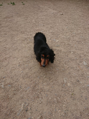 f:id:roukenhome-ann:20190519133249j:plain