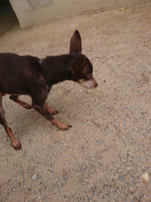 f:id:roukenhome-ann:20190519133312j:plain
