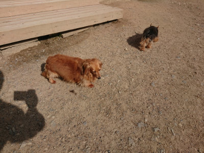 f:id:roukenhome-ann:20190519133333j:plain