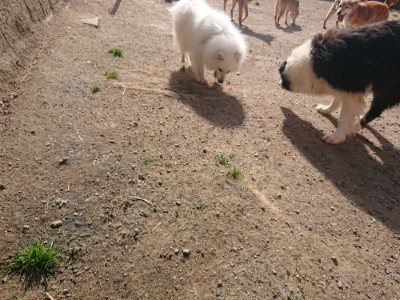 f:id:roukenhome-ann:20190519133345j:plain