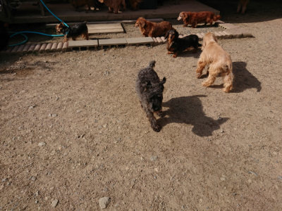 f:id:roukenhome-ann:20190519133423j:plain