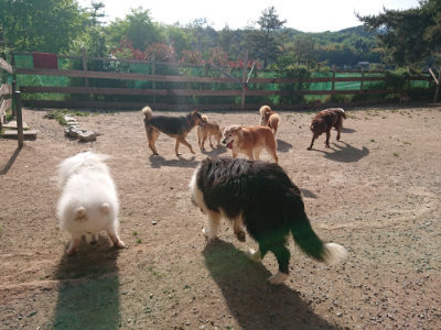 f:id:roukenhome-ann:20190519133431j:plain