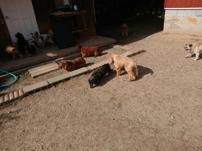 f:id:roukenhome-ann:20190519133444j:plain