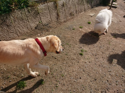 f:id:roukenhome-ann:20190519133450j:plain