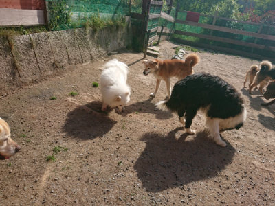 f:id:roukenhome-ann:20190519133457j:plain