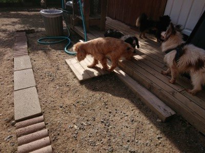 f:id:roukenhome-ann:20190519133506j:plain