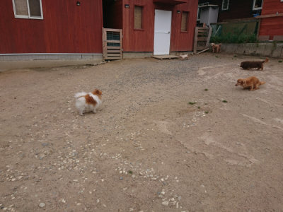 f:id:roukenhome-ann:20190519133546j:plain