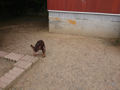 f:id:roukenhome-ann:20190519133551j:plain