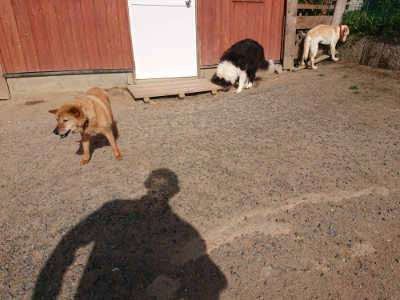 f:id:roukenhome-ann:20190519133732j:plain
