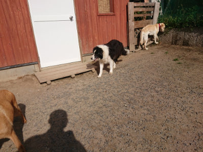 f:id:roukenhome-ann:20190519133828j:plain