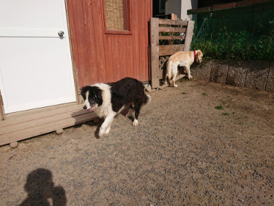 f:id:roukenhome-ann:20190519133844j:plain