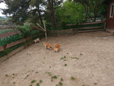 f:id:roukenhome-ann:20190519133907j:plain