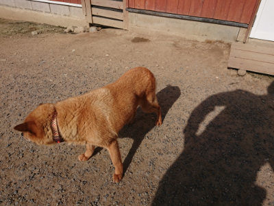 f:id:roukenhome-ann:20190519133926j:plain