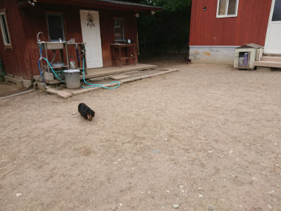 f:id:roukenhome-ann:20190519133932j:plain
