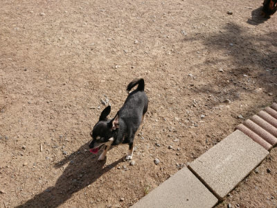 f:id:roukenhome-ann:20190519133938j:plain
