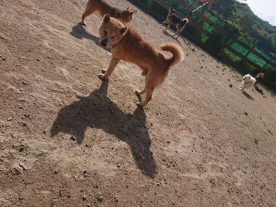f:id:roukenhome-ann:20190519133944j:plain