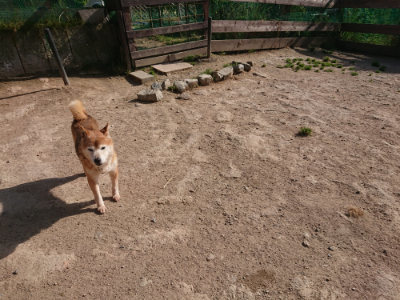 f:id:roukenhome-ann:20190519134124j:plain