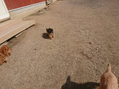 f:id:roukenhome-ann:20190519134147j:plain