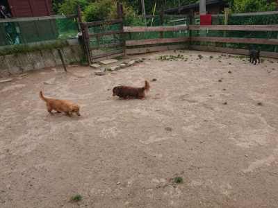 f:id:roukenhome-ann:20190519134216j:plain
