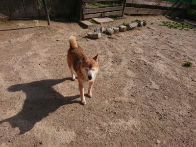 f:id:roukenhome-ann:20190519134241j:plain