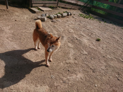 f:id:roukenhome-ann:20190519134306j:plain