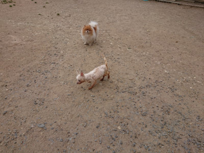 f:id:roukenhome-ann:20190519134314j:plain