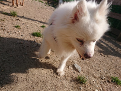 f:id:roukenhome-ann:20190519134328j:plain