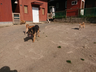 f:id:roukenhome-ann:20190519134353j:plain