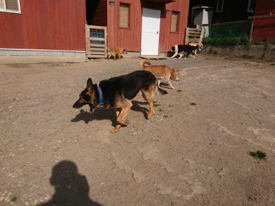 f:id:roukenhome-ann:20190519134413j:plain