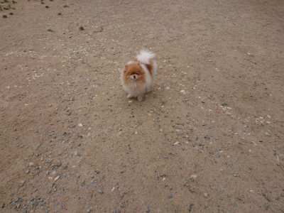f:id:roukenhome-ann:20190519134432j:plain