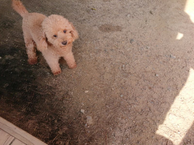 f:id:roukenhome-ann:20190519134438j:plain