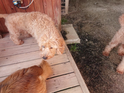 f:id:roukenhome-ann:20190519134453j:plain