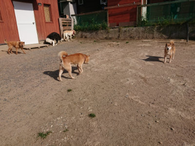 f:id:roukenhome-ann:20190519134510j:plain