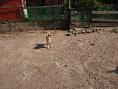 f:id:roukenhome-ann:20190519134547j:plain