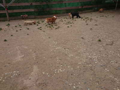 f:id:roukenhome-ann:20190519134557j:plain