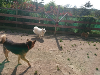 f:id:roukenhome-ann:20190519134614j:plain