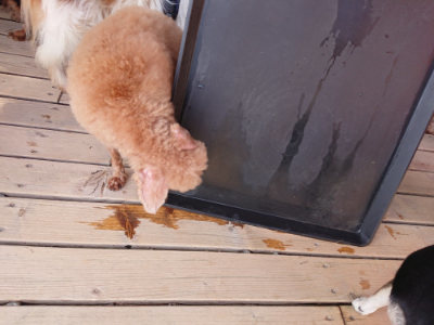 f:id:roukenhome-ann:20190519134625j:plain