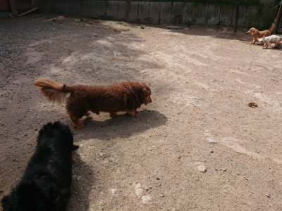 f:id:roukenhome-ann:20190519173942j:plain