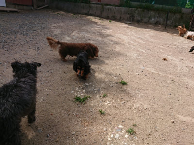 f:id:roukenhome-ann:20190519173950j:plain