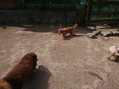 f:id:roukenhome-ann:20190519173955j:plain