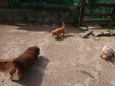 f:id:roukenhome-ann:20190519174000j:plain