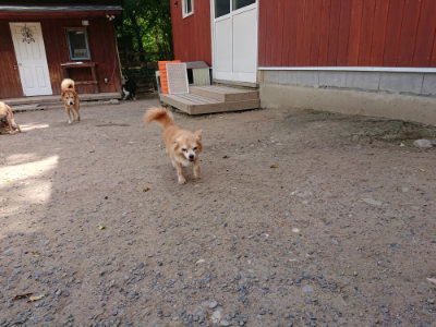 f:id:roukenhome-ann:20190519174033j:plain