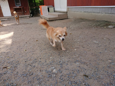 f:id:roukenhome-ann:20190519174039j:plain