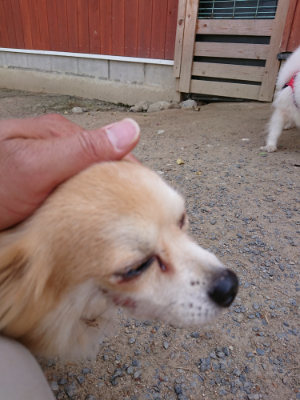 f:id:roukenhome-ann:20190519174101j:plain