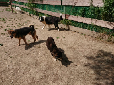f:id:roukenhome-ann:20190519174107j:plain