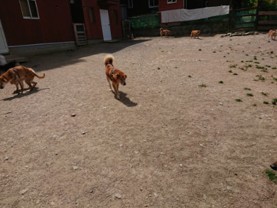 f:id:roukenhome-ann:20190519174113j:plain