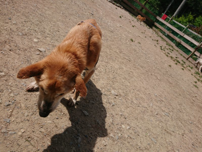f:id:roukenhome-ann:20190519174132j:plain