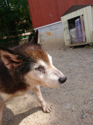 f:id:roukenhome-ann:20190519174141j:plain